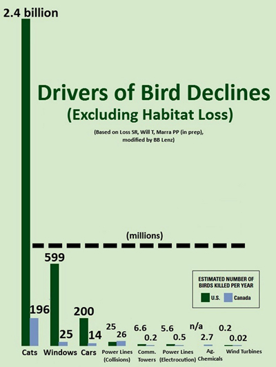 Name:  bird-mortality-s.jpg
Hits: 1007
Gre:  93,9 KB